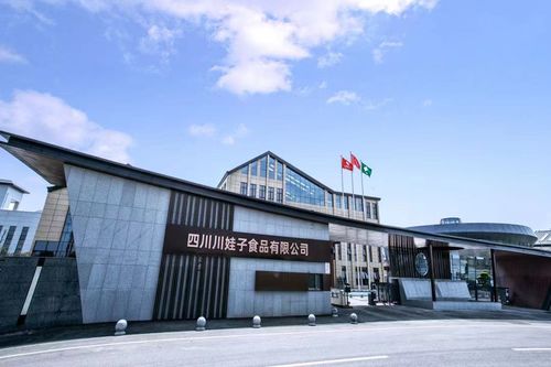 聚焦明星工廠 百位行業(yè)代表齊聚川娃子，共話食品智造新未來