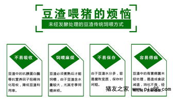 精選益生菌發(fā)酵豆渣 科學(xué)飼喂保障豬只健康與高效遠(yuǎn)程管理