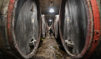 最早的 吐真劑 是酒 現(xiàn)代對嫌犯審查用麻醉劑