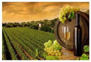 國外經(jīng)典度假小鎮(zhèn)案例解析 法國科瑪 colmar 意大利波托菲諾 portofino