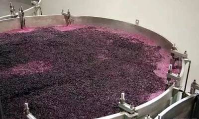 歷經艱辛只為遇見你--一瓶葡萄酒的修煉